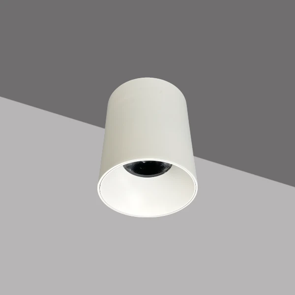 surface mounted led downlight , surface light with compact design , surface-mounted luminaire for ceilings Supplier | Sincerelux